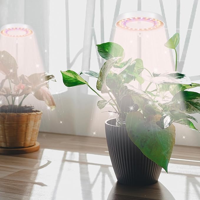 GooingTop LED Grow Light, Halo Plant Lamp for Indoor Plants Growing, White Low Light for Succulents