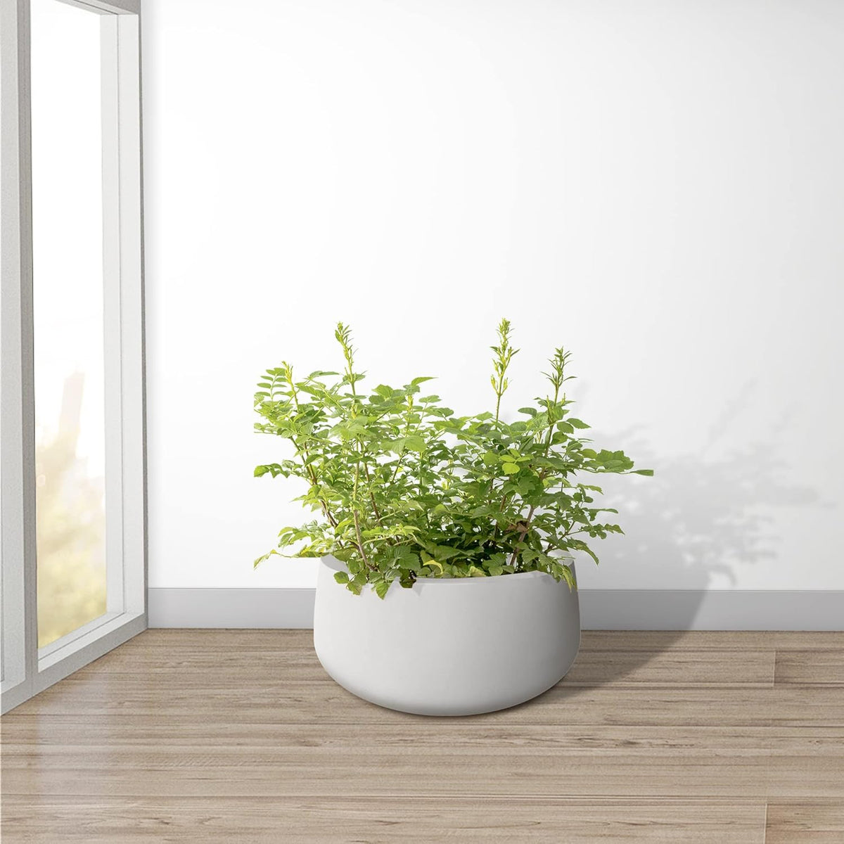 Kante 19.6" Dia Round Concrete Planter, Outdoor Indoor Garden Plant Pots with Drainage Hole and