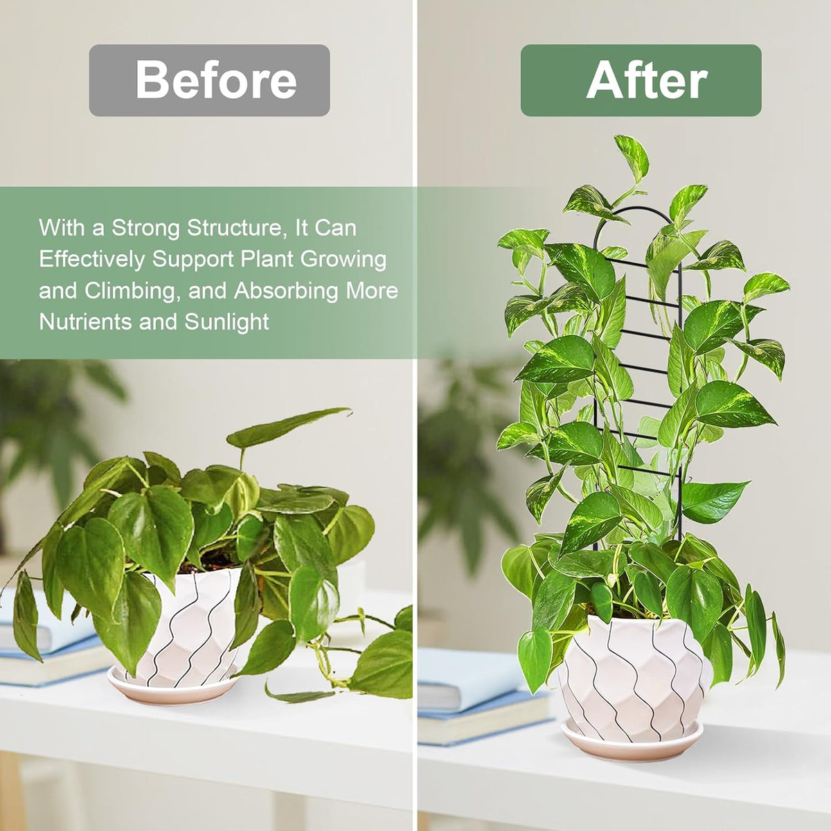 17.5 Inch Indoor Plant Trellis for Climbing Plants, Small Metal Garden Trellis for Potted