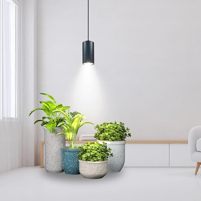 Plant Hanging Grow Light Full Spectrum Warm White Color with Timer, Plug-in Pendant Grow