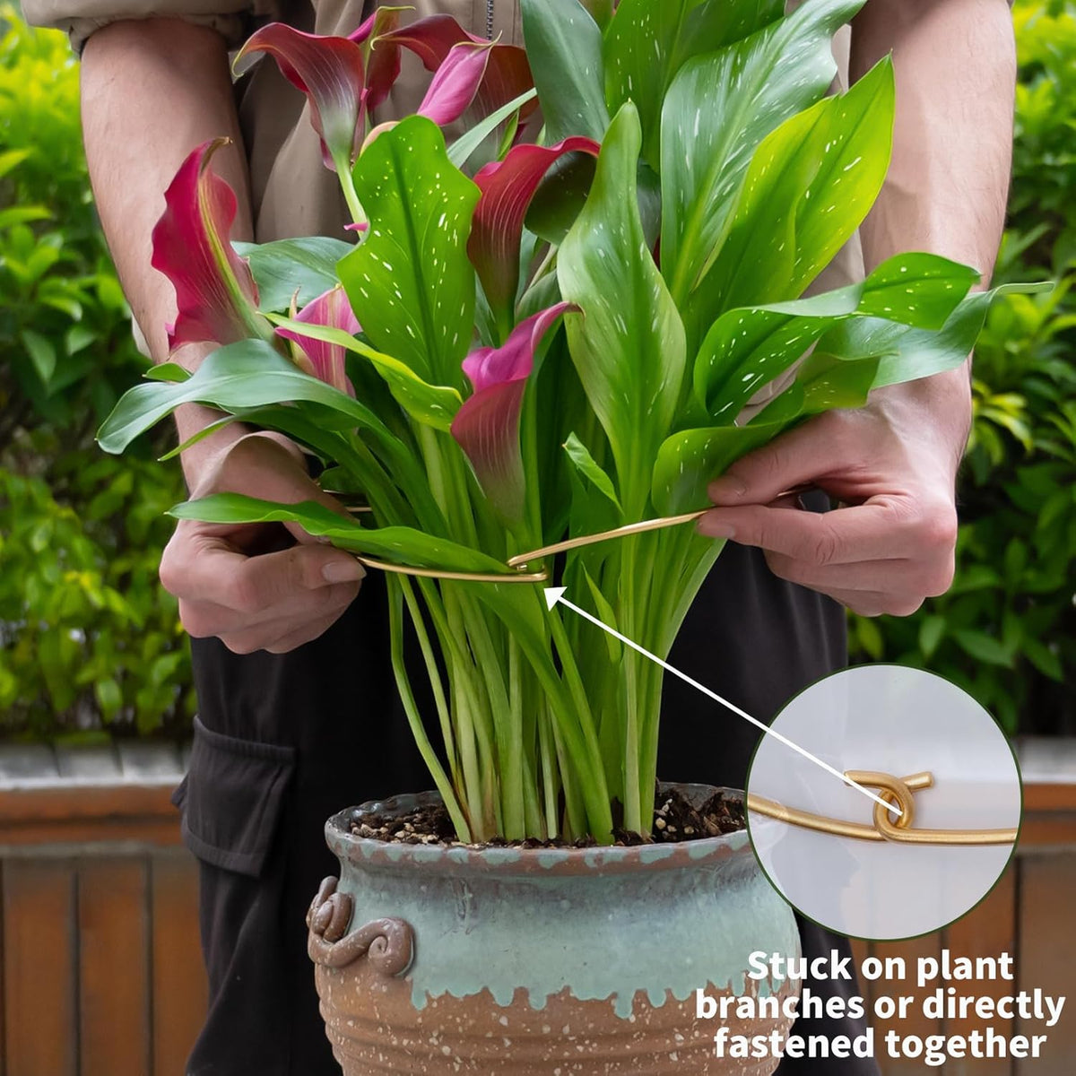 5PCS 11 * 9.4 Inch Monstera Plant Support Stem - Premium Adjustable Leaf Holder & Fishbone Cactus