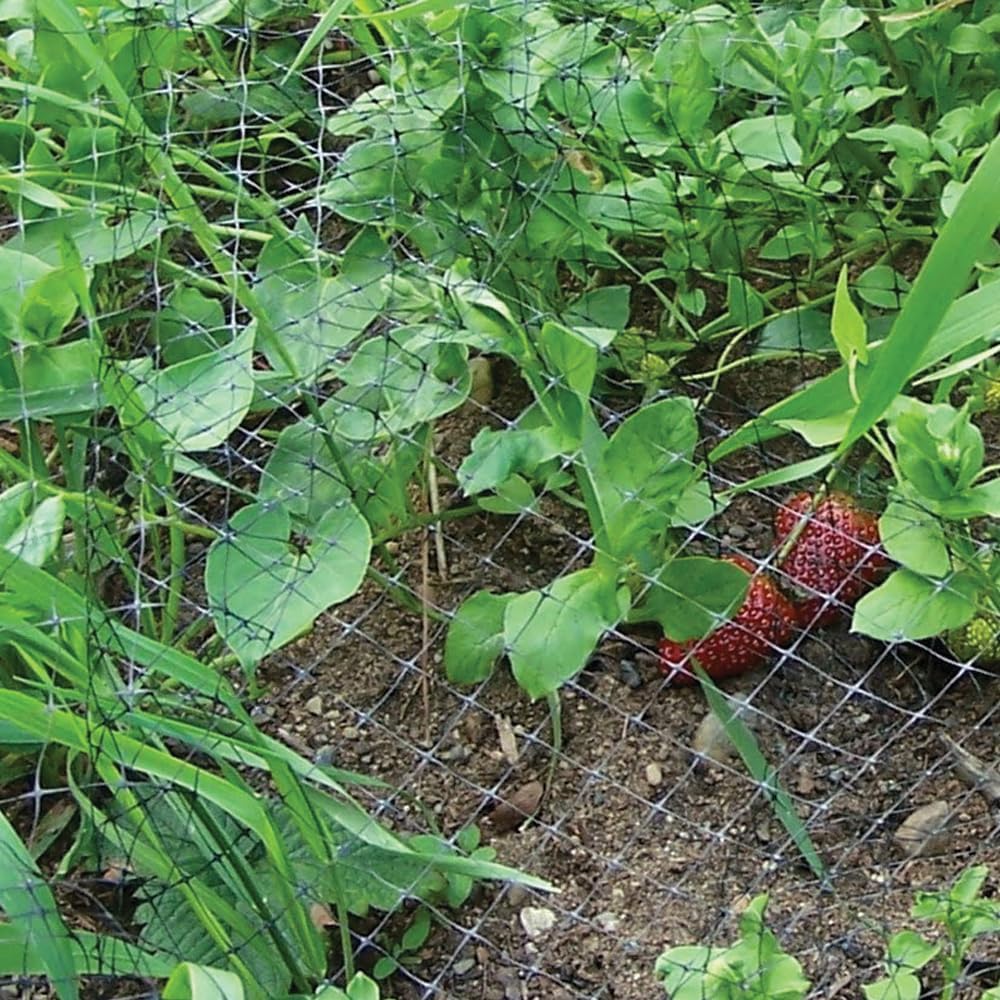 Bird B Gone Heavy Duty Garden Bird Netting - 14' x 200' Net Roll - UV-Stabilized Bird 3/4" Mesh for