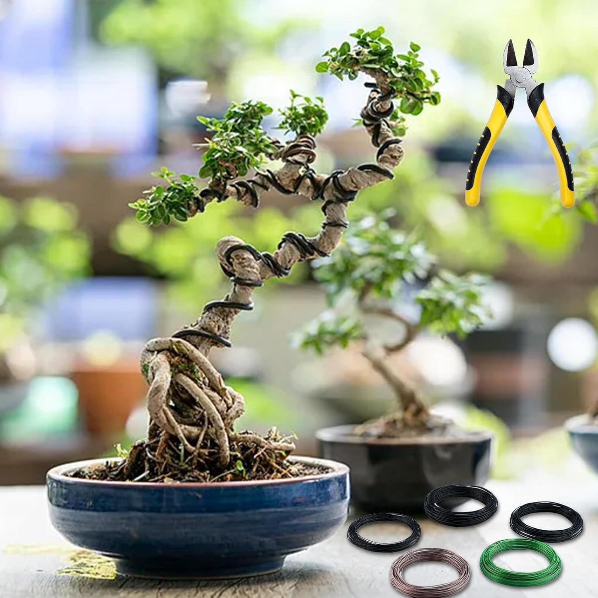 5 Roll Bonsai Wires, Anodized Aluminum Bonsai Training Wire with Wire Cutter, 3 Colors and 3 Sizes