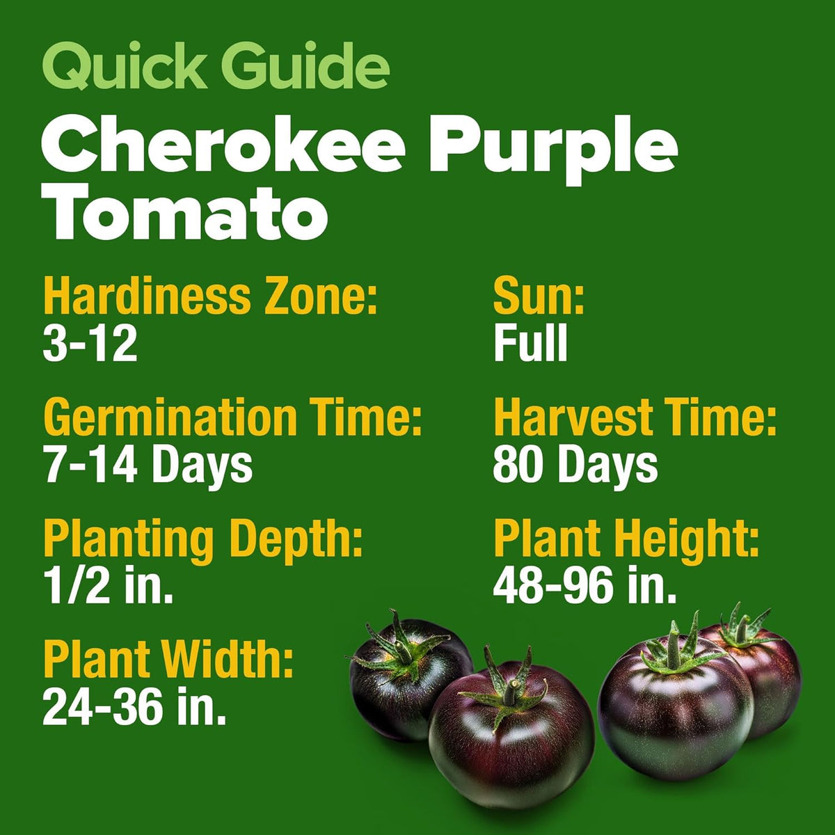 HOME GROWN Cherokee Purple Tomato Seeds 2 Pack (Solanum lycopersicum) - 212 Seeds, 𝗡𝗢𝗡-𝗚𝗠𝗢