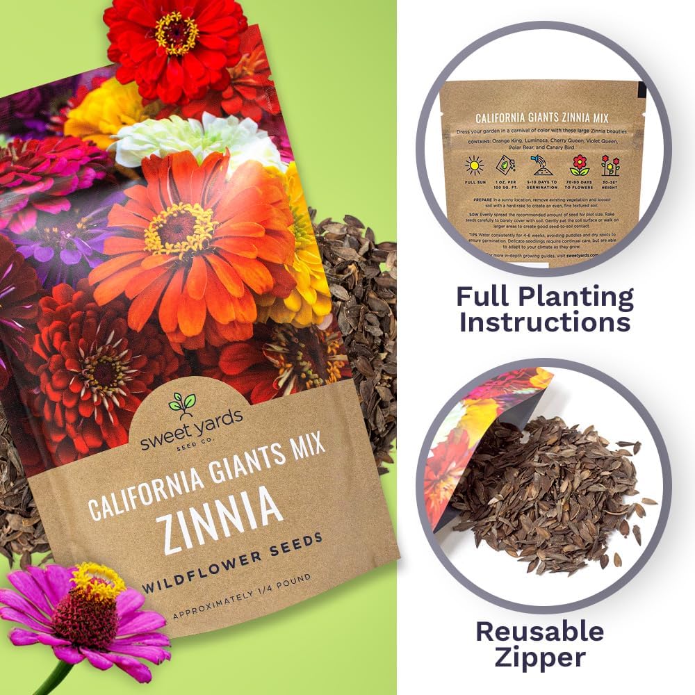 Bulk Zinnia Seeds - California Giants Mix - Bulk 1/4 Pound Bag Over 12,000 Flower Seeds - Mixed