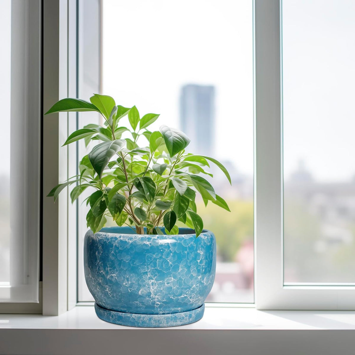 SQOWL Ceramic Planters - 10 Inch Plant Pot Indoor with Drainage Hole and Saucer, Decorative Flower