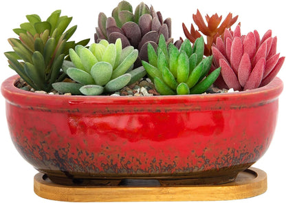 Succulent Pots, 7.9 Inch Long Rectangular Succulent Planters with Drainage Tray, Shallow Planters