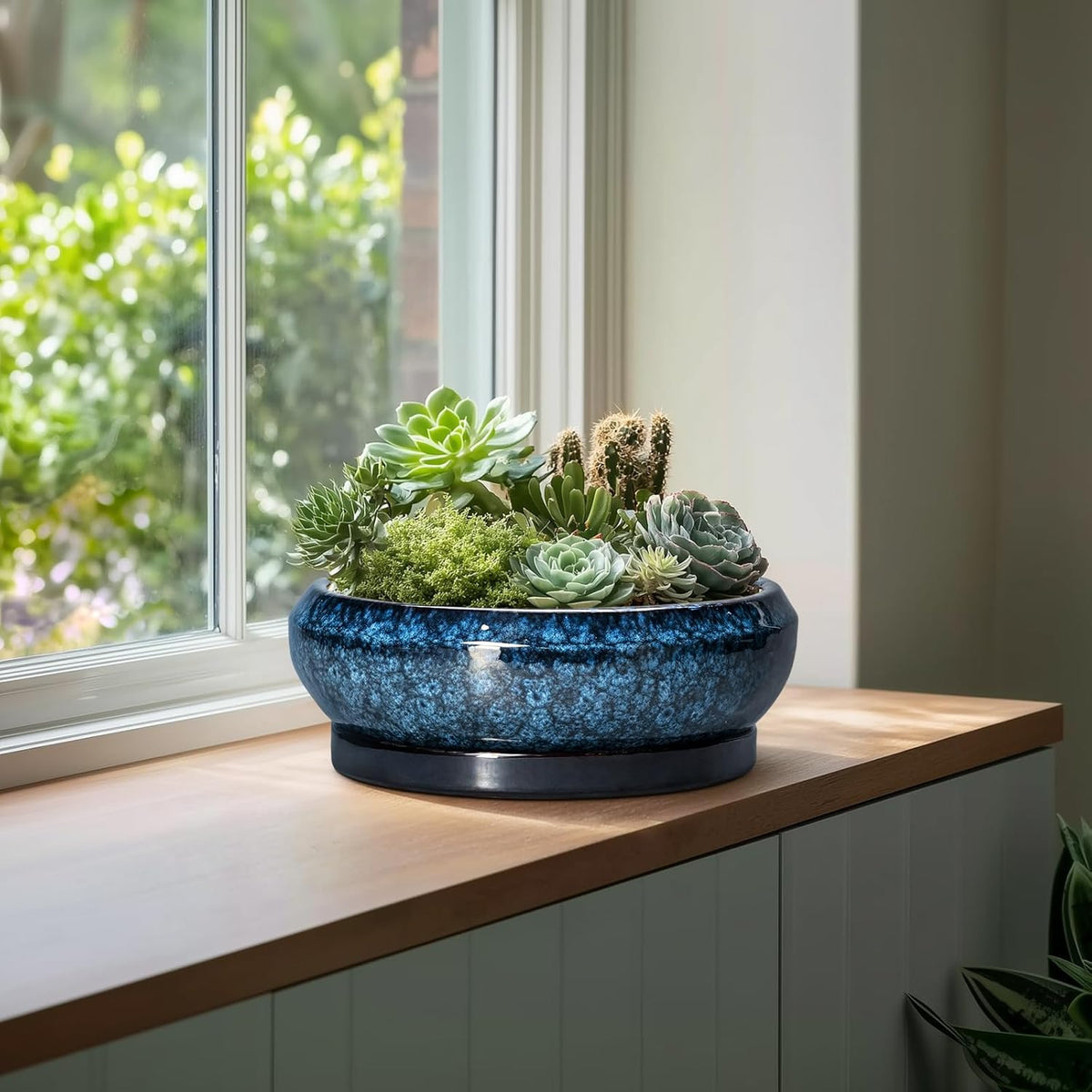 Bonsai Pots - 13 Inch Ceramic Succulent Pots for Indoor Outdoor, Large Succulent Planter with