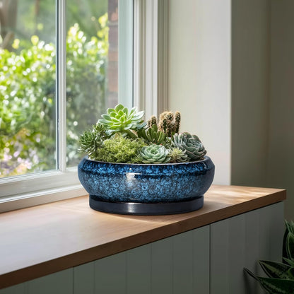 Bonsai Pots - 13 Inch Ceramic Succulent Pots for Indoor Outdoor, Large Succulent Planter with