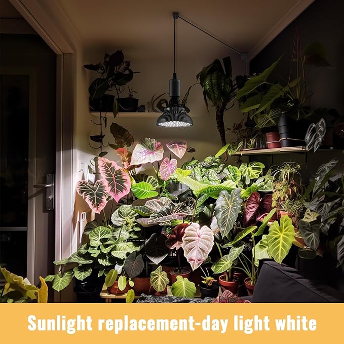 Hanging Grow Lights for Indoor Plants, 25W 5000K, LED Hanging Grow Light with Timer, Height