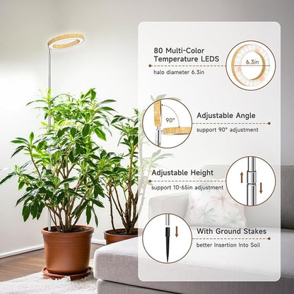 Grow Lights for Indoor Plants, Full Spectrum Plant Lights for Indoor Growing with 6/12/16H Timer, 3