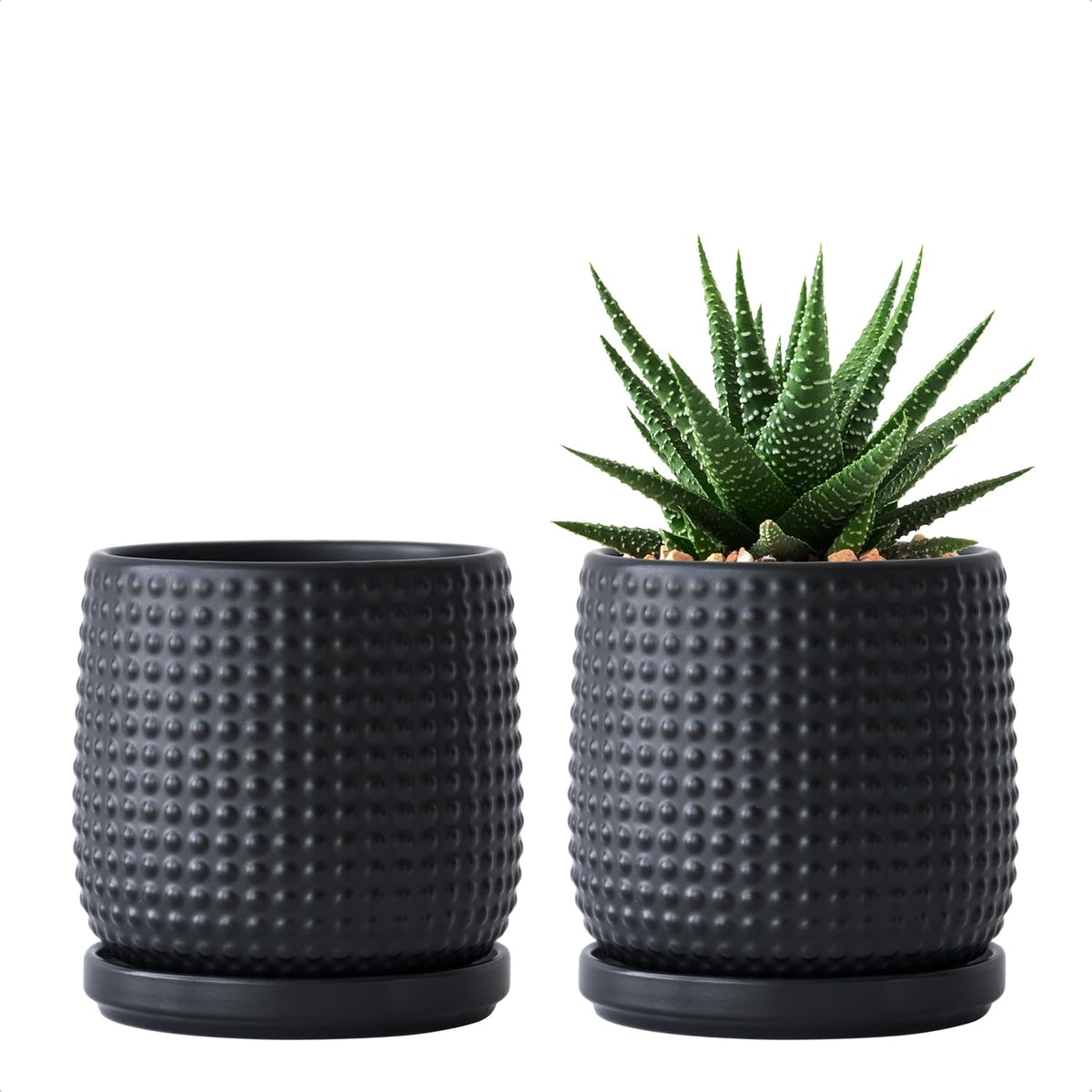 D'vine Dev Set of 2 Ceramic Plants Pots, 4 Inch Beaded Stoneware Flower Pot for Plants with