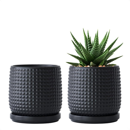 D'vine Dev Set of 2 Ceramic Plants Pots, 4 Inch Beaded Stoneware Flower Pot for Plants with