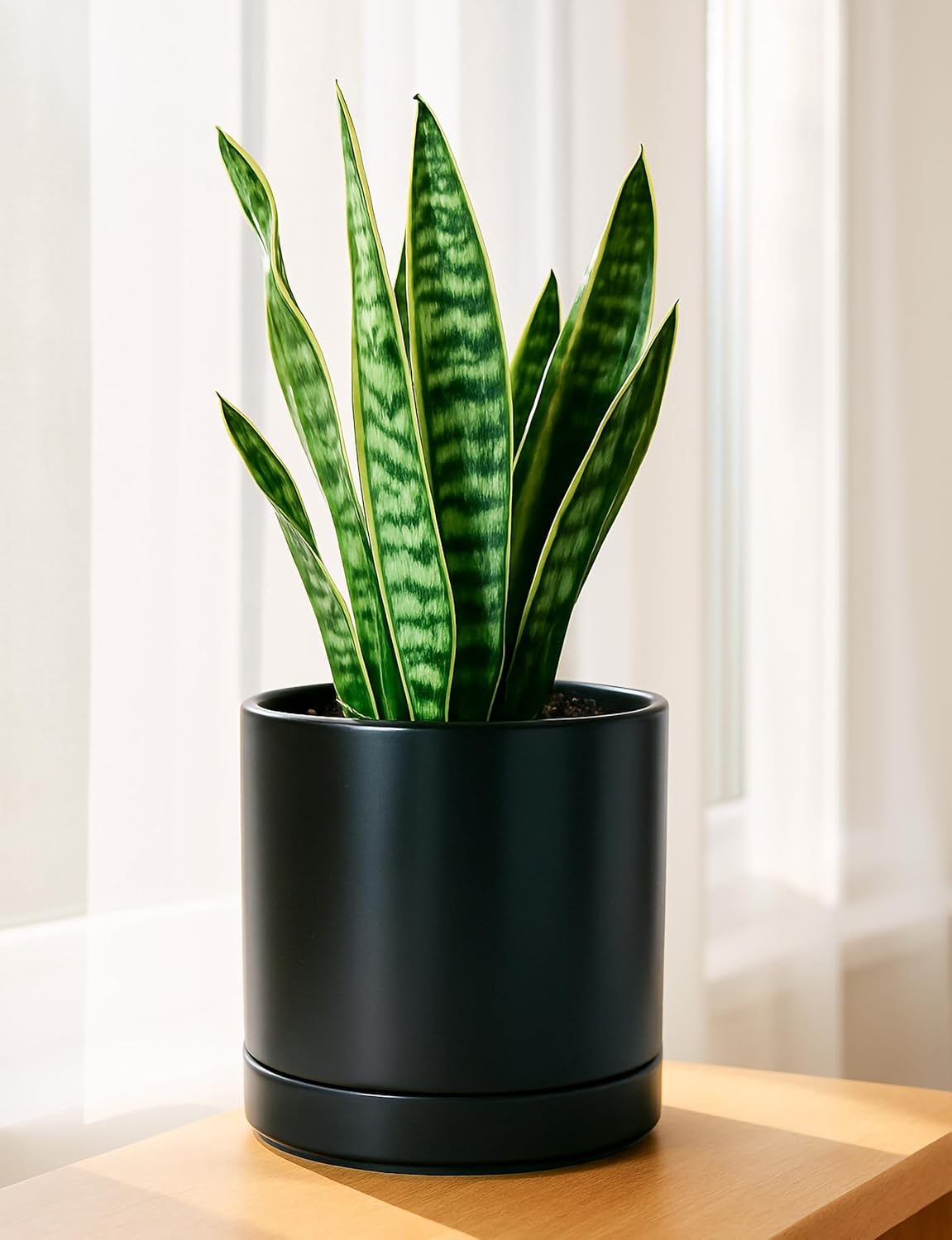 D'vine Dev 8.2 Inch Ceramic Planter Pot with Drainage Hole and Saucer, Indoor Cylinder Round