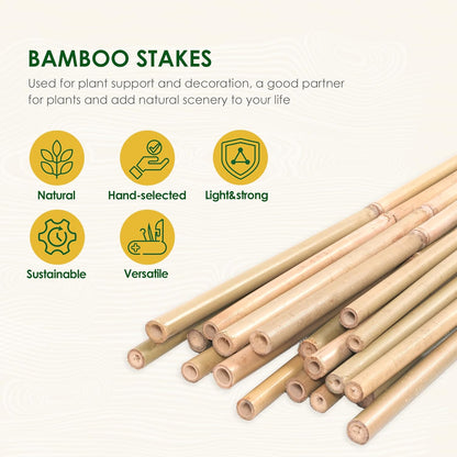 Bamboo Stakes, 50 Pack Bamboo Stakes 4ft, Natural Garden Stakes for Tomatoes and Climbing Plant