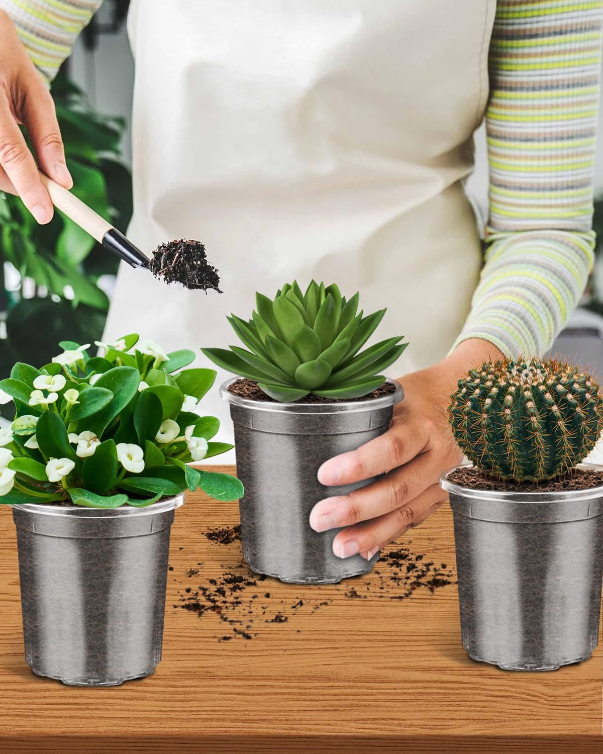 PACETAP 60Pack 3.5 Inch Reinforced Clear Nursery Pots with Drainage Holes, Variety Pack Plastic