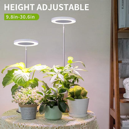 LORDEM Grow Light, LED Plant Light for Indoor Plants Growing, Full Spectrum Desk Growth Lamp with
