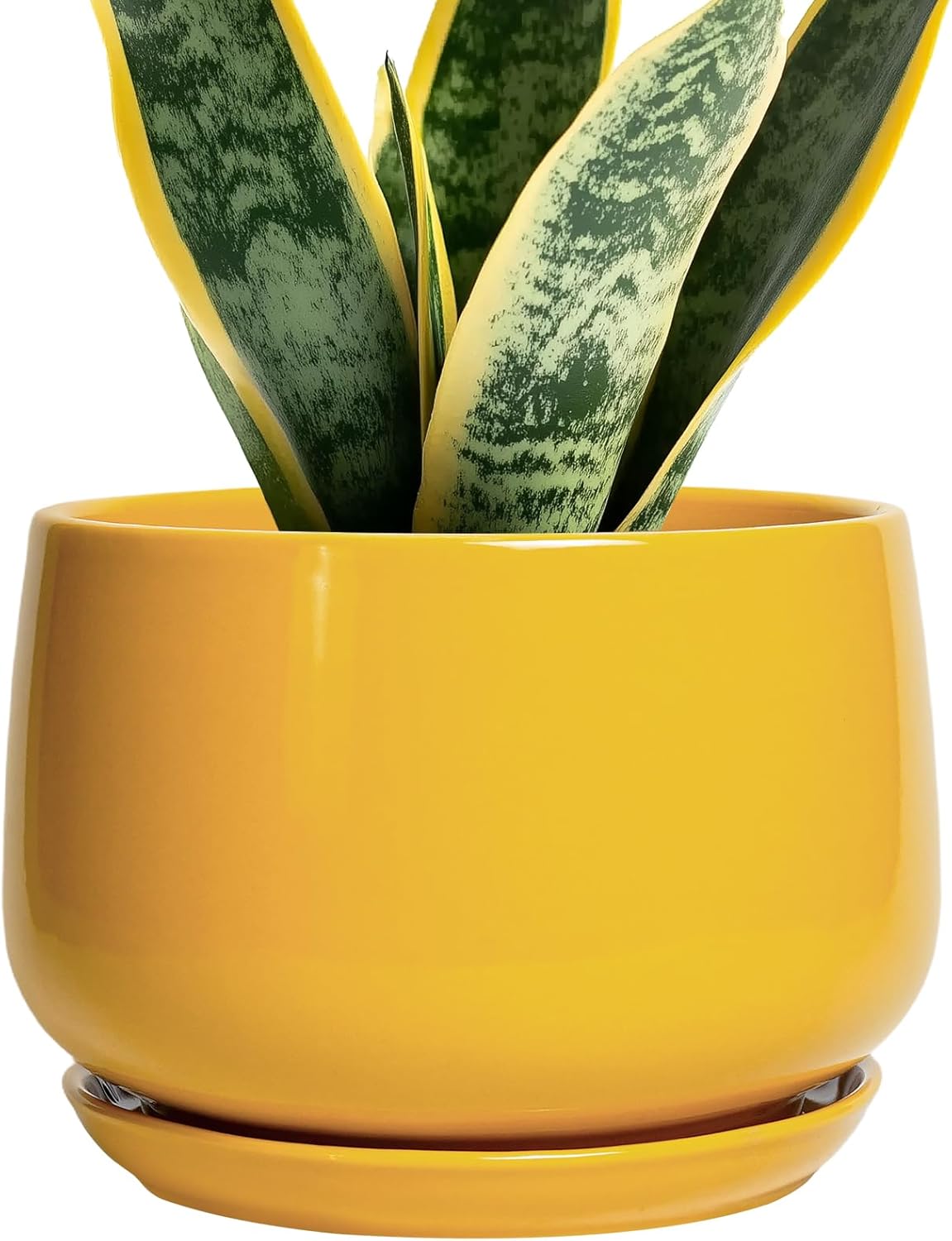 G EPGardening Ceramic Pots for Plants - 7 Inch Plant Pot with Drainage Hole and Saucer, Modern
