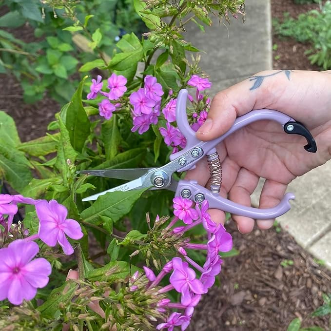 Modern Sprout Pruning Shears - Herb Snipping Scissors- Lightweight Gardening Tools W/Easy Lock