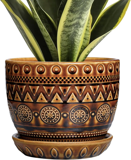 G EPGardening Ceramic Pot for Plants 5.5 Inch - Ceramic Plant Pot with Drainage Hole and Saucer