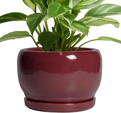 SQOWL Ceramic Planter - 8 Inch Plant Pot with Drainage Hole and Saucer, Round Planter for Indoor