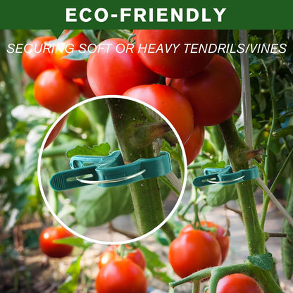 Plant Clips for Climbing Plants, Tomato Clips and Garden Clips for Vine Support, Plant Support