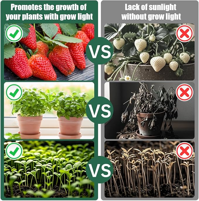 Tabletop 5-Tier Seed Starting Kit Germination Tray - Plant Stand with Grow Lights Full Spectrum