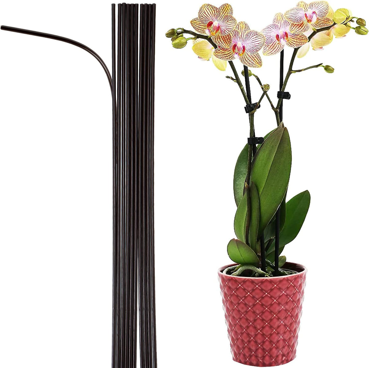 10-PCs 15-3/4" Plastic Coated Orchid Stakes for Plants Support, Bendable Orchid Support Stakes
