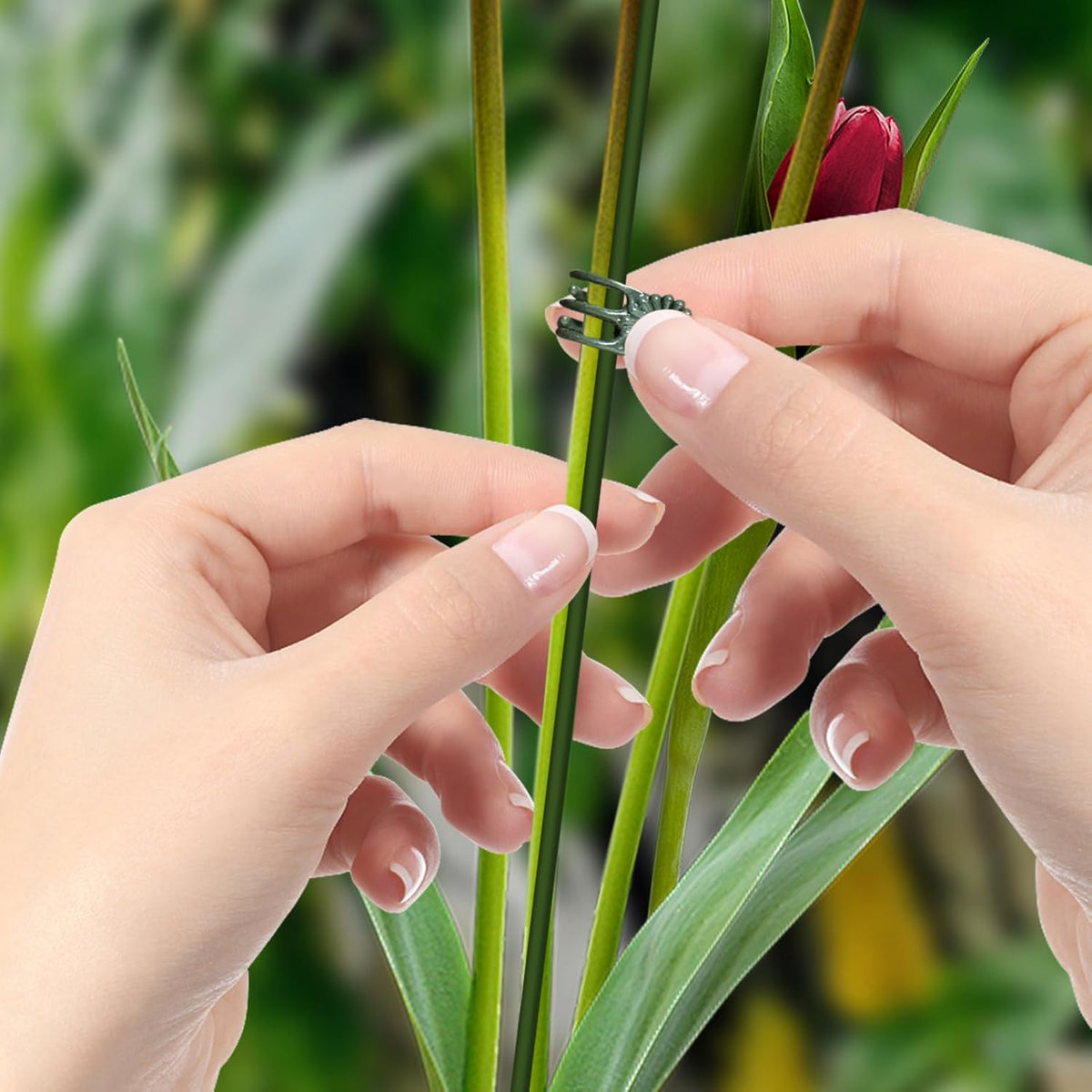 50Pcs Plant Stake Clip Set Green, Plant Sticks Supplies Support Tall, Useful Support Clips, Fine