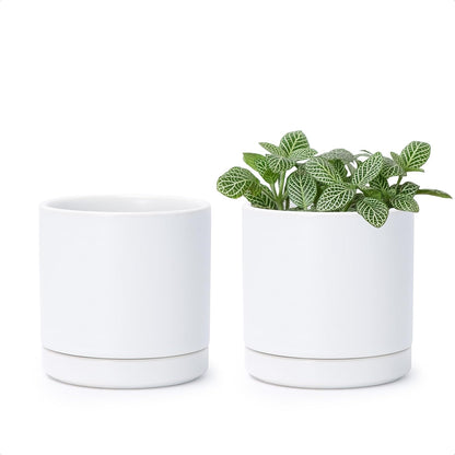 D'vine Dev Set of 2 Plants Pots, 3.5 Inch Ceramic Planter Pot for Plants with Drainage Hole and