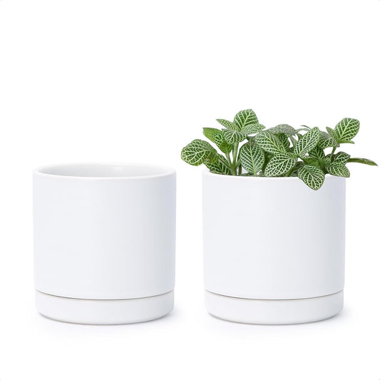 D'vine Dev Set of 2 Plants Pots, 3.5 Inch Ceramic Planter Pot for Plants with Drainage Hole and