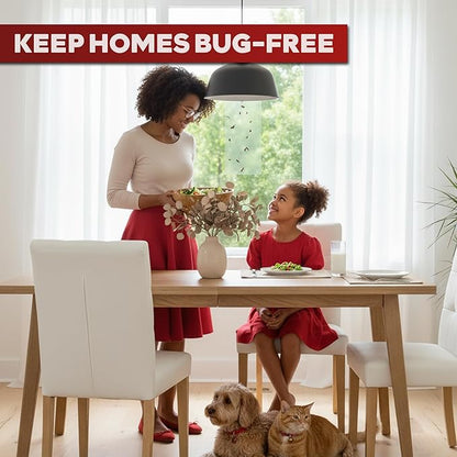 XFasten Window Fly Traps Sticky Clear 50-Pack Fruit Fly Traps for Indoors Sticky, Residue-Free