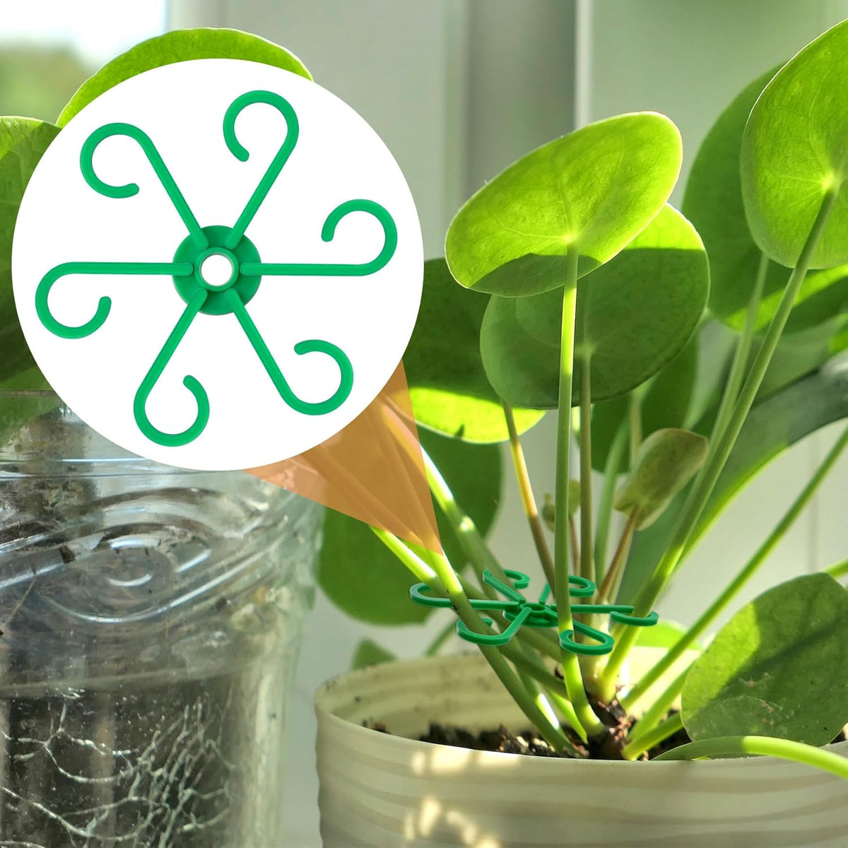3PCS Plant Stem Support, 3 Sizes Climbing Houseplant Stem Holders, Plastic Reusable Flower Trellis