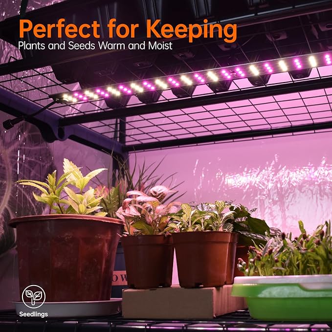 Bstrip Indoor Greenhouse with Grow Lights, 4 Tier 27.2" L×19.9" W×61.8" H Mini Greenhouse with
