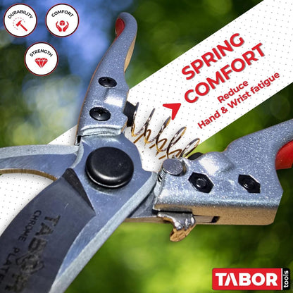 TABOR TOOLS S834A Bypass Pruning Shears, Makes Clean Cuts, Professional Sharp Secateurs, Great for