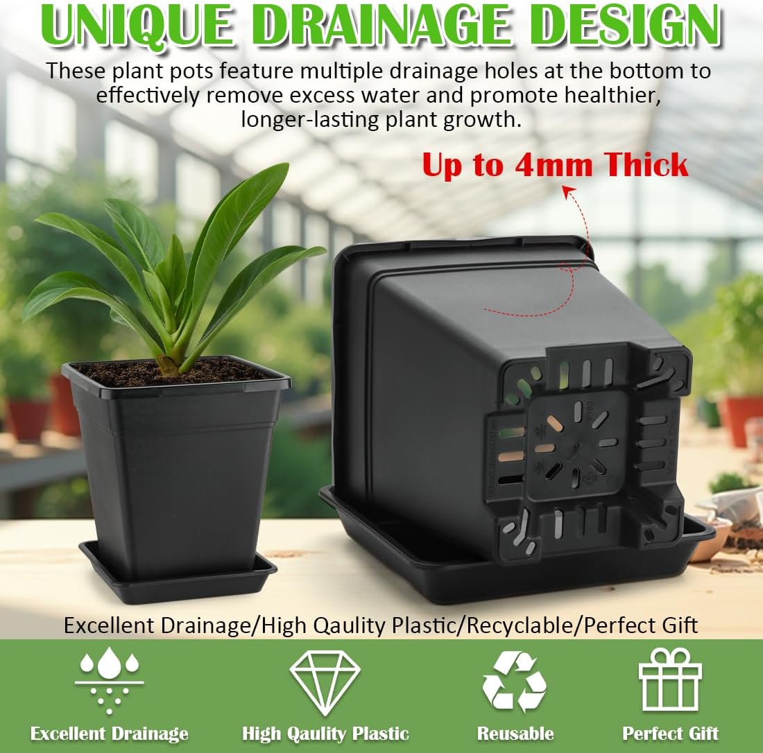 6 inch Plant Pots, 10 Pack Flower Pots Outdoor Indoor, Square Plastic Planter with Drainage Holes