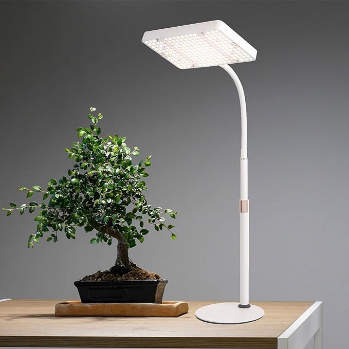 Tabletop Grow Light LED Full Spectrum UV IR, Veg Seed Starting Seedlings Bonsai Houseplant Plant