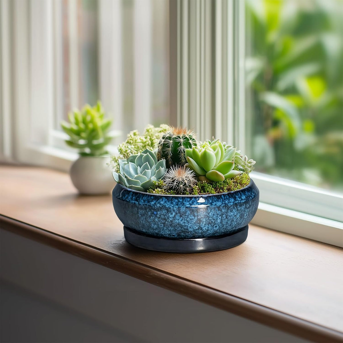 Succulent Pots - 6 Inch Ceramic Bonsai Pots with Drainage Hole and Saucer, Shallow Planter for