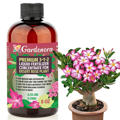 Premium Liquid Desert Rose Plant Fertilizer - 3-1-2 Concentrate for Indoor Plants and Flowers by