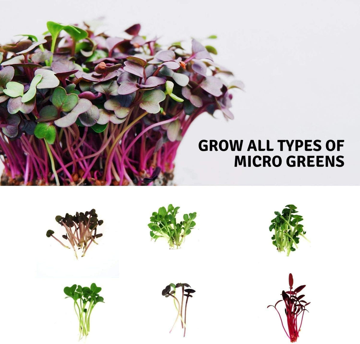 Handy Pantry Micro-Mat Minis Hydroponic Grow Pads - for Organic Production - Plant & Seed