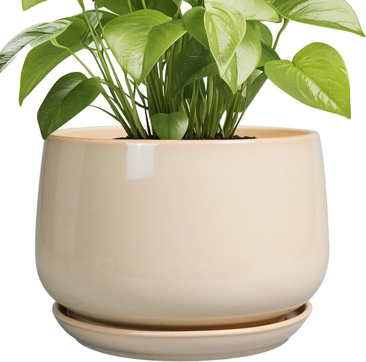 G EPGardening Ceramic Plant Pots - 9 Inch Round Planter, Ceramic Flower Pots with Drainage and