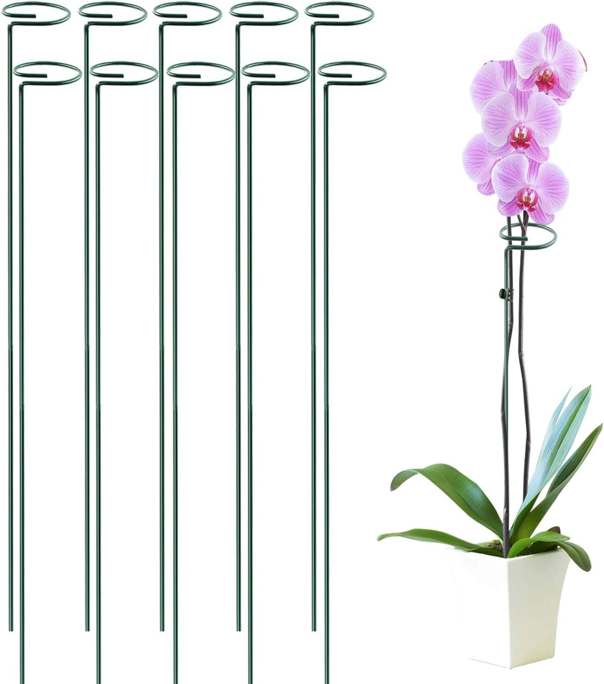 HiGift 10 Pack 36 Inch Plant Support Stake for Tall Plant, Garden Single Stem Flower Support Stake