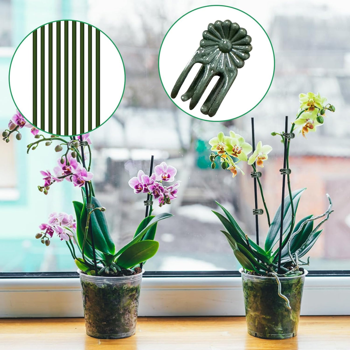 50Pcs Plant Stake Clip Set Green, Plant Sticks Supplies Support Tall, Useful Support Clips, Fine