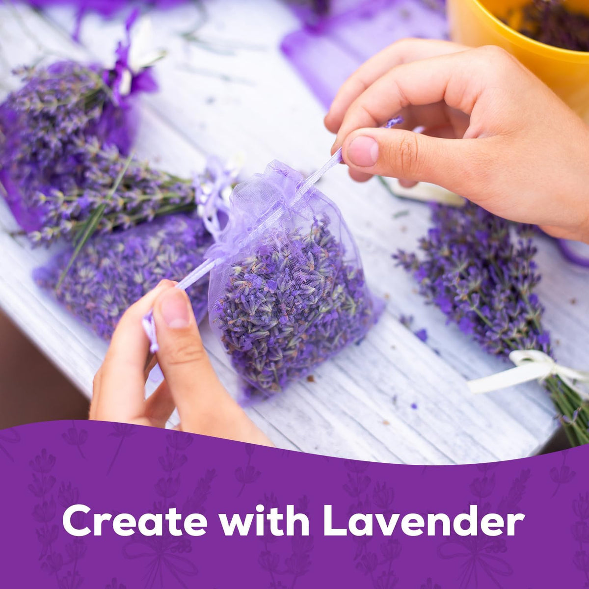English Lavender Seeds for Planting - 1500+ Heirloom, Non-GMO Seeds - High Germination, Fragrant