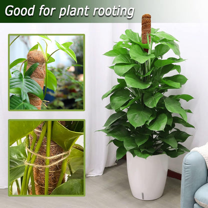 60 Inch Moss Pole for Plants Monstera, Tall Bendable Moss Poles for Climbing Plants Indoor, Large