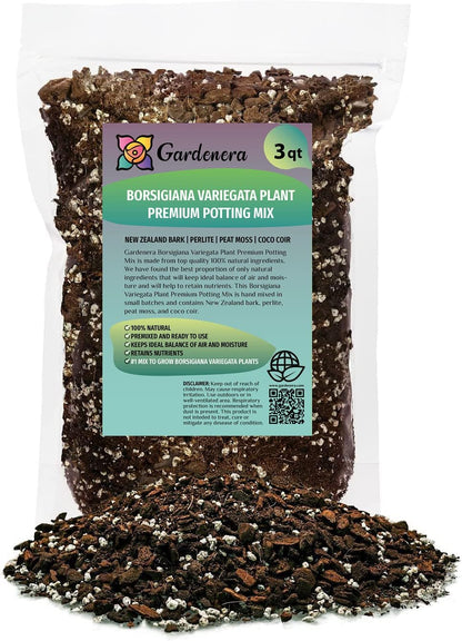 Premium Monstera Borsigiana Potting Soil - Enhanced Drainage and Aeration for Healthy Foliage by