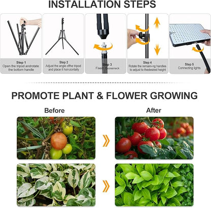 Grow Light with Stand, Orchbloom Grow Lights for Indoor Plants 50W, Natural Sunlight Full Spectrum