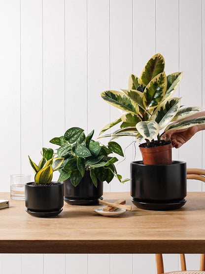 LE TAUCI Ceramic Plant Pots, 4.3+5.3+6.8 inch, Set of 3, Planters with Drainage Hole and Saucer