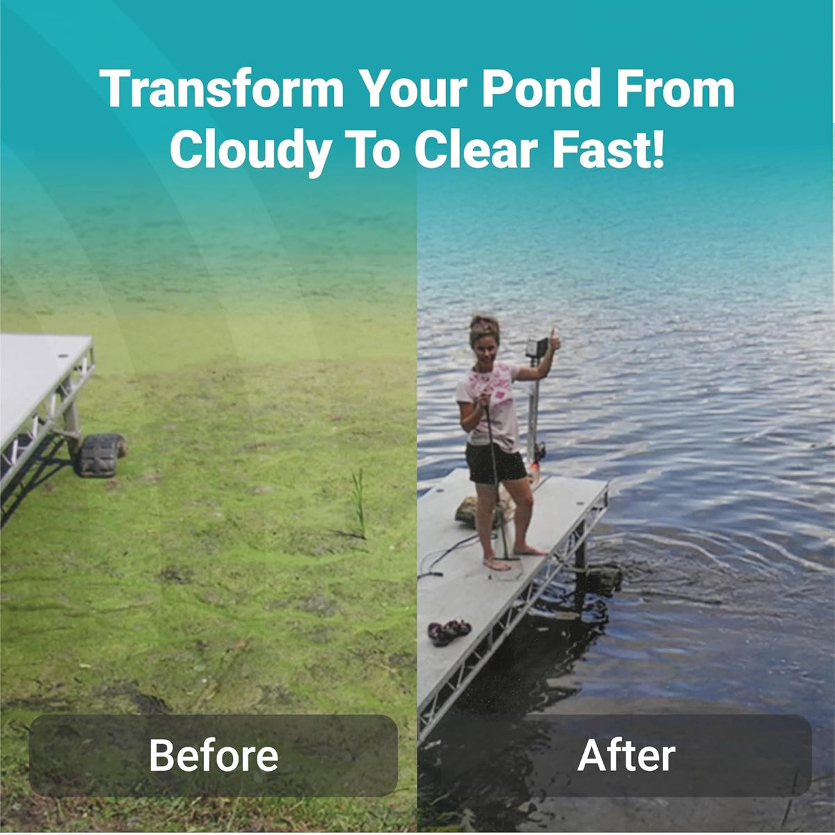 Scott Aerator 1 Horse Power 115V Muck Blaster - 50ft Cord | Aquasweep With Post Mount | Water