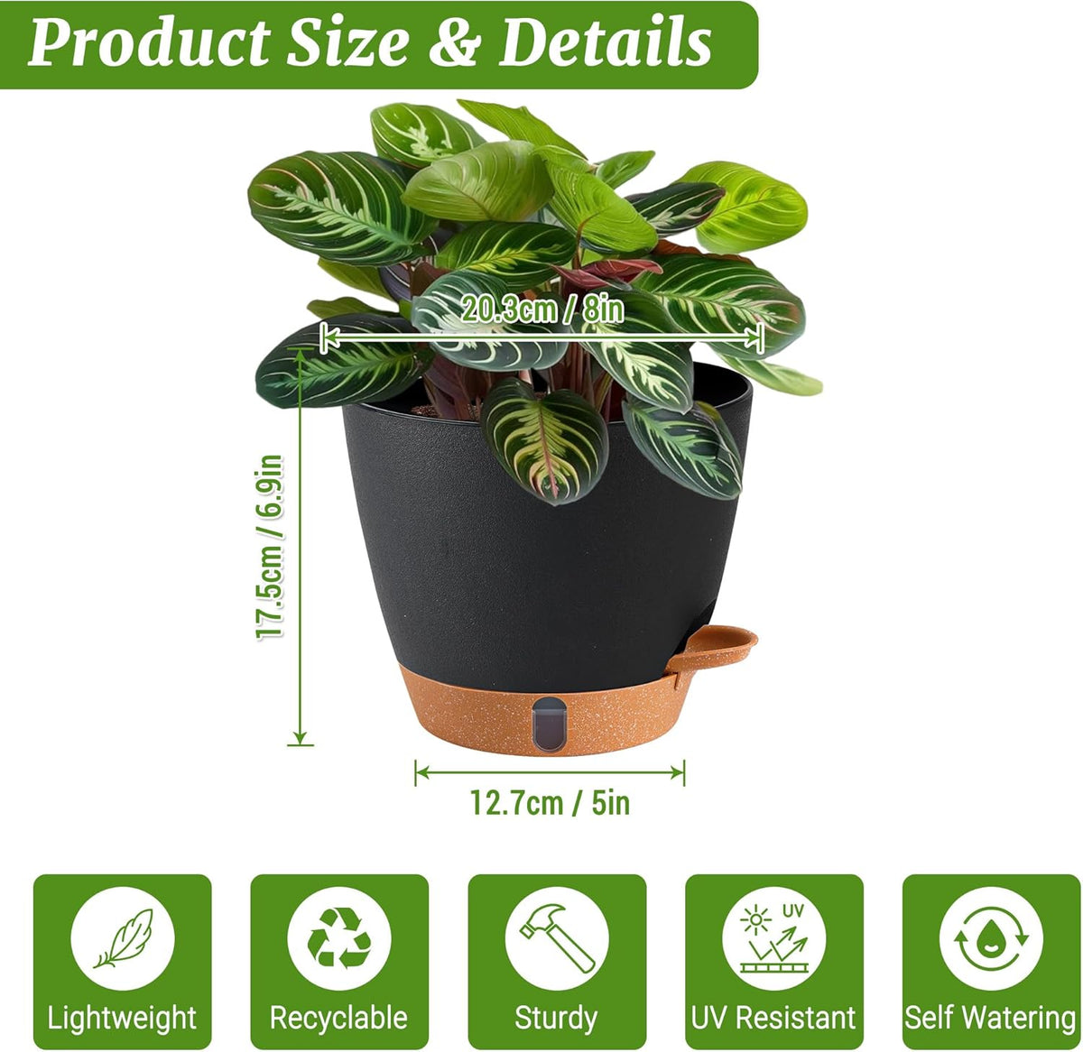 2 Pack 8 Inch Pots for Plants Indoor, Plastic Self Watering Planters with Drainage Holes, Water